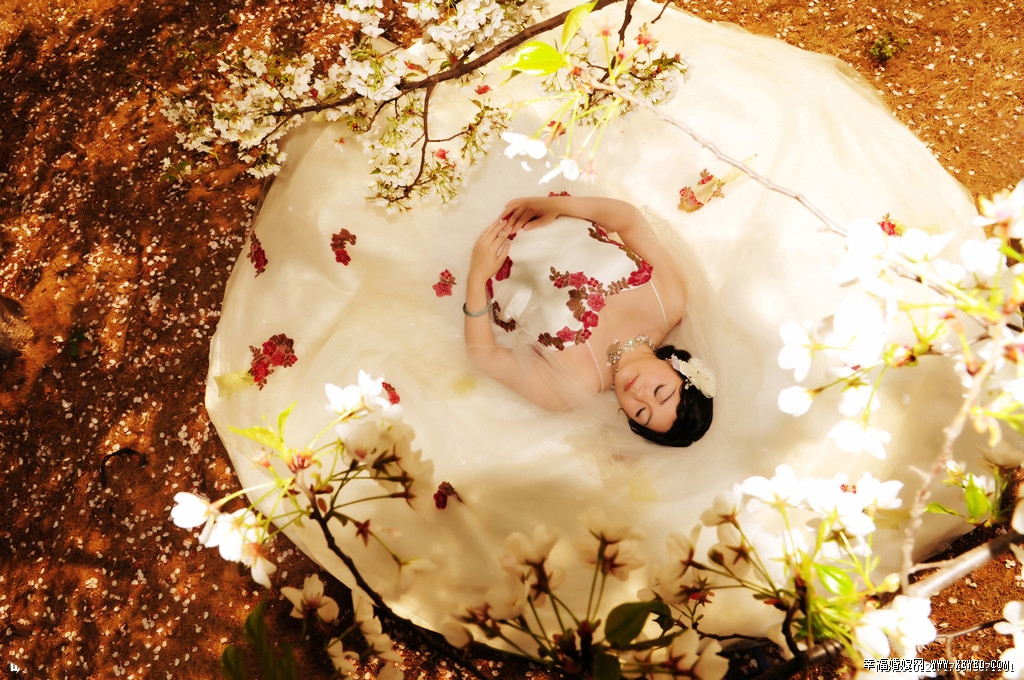 (ji)ʡY_֧ xc˾