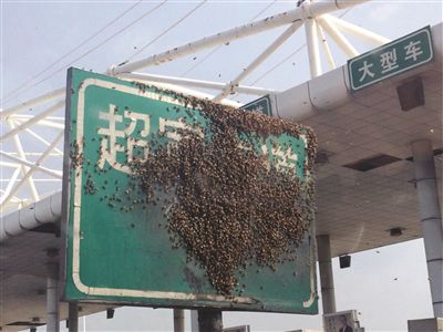 ۼMվĴ۷䡣
