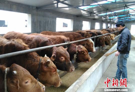 <a href=http://www.jitongbianyaqi.com/news/ target=_blank class=infotextkey>C</a>r(nng)I(y)ѭh(hun)a(chn)I(y)M֙MţS׃U錚